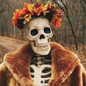 Meet your Posher, Holly